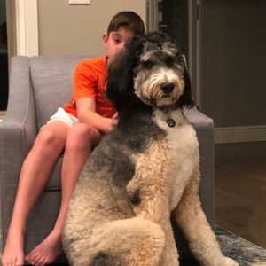 Meet your Posher, Dawn